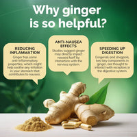 Morning Sickness Relief - Conceive Plus® Europe