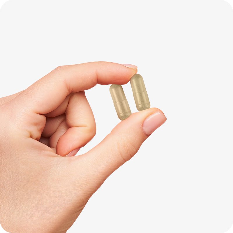 Close-up of a hand holding two Conceive Plus Ovulation Support capsules between index finger and thumb. The capsules are light yellow colored.